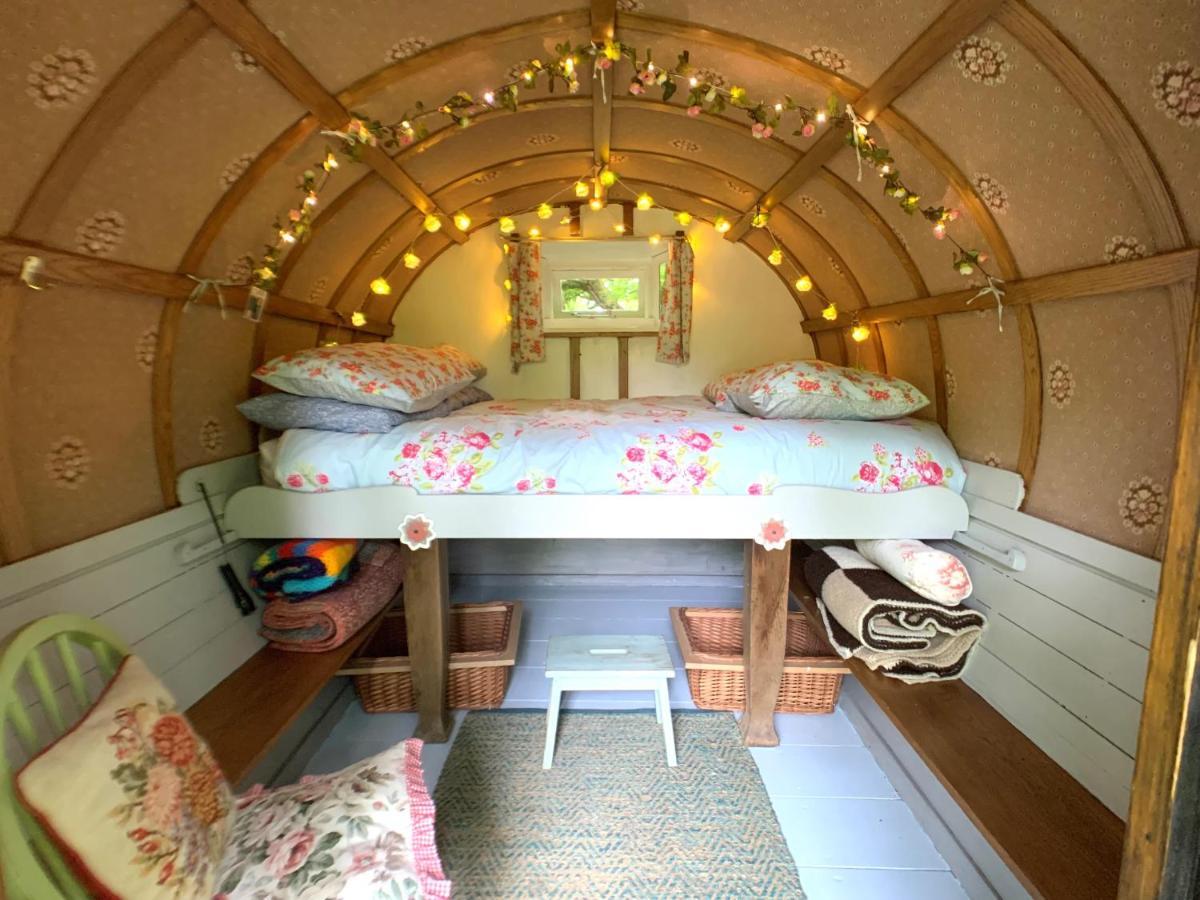 فندق Genuine Gypsy Hut And Glamping Experience - In The Heart Of Cornwall Gunnislake المظهر الخارجي الصورة